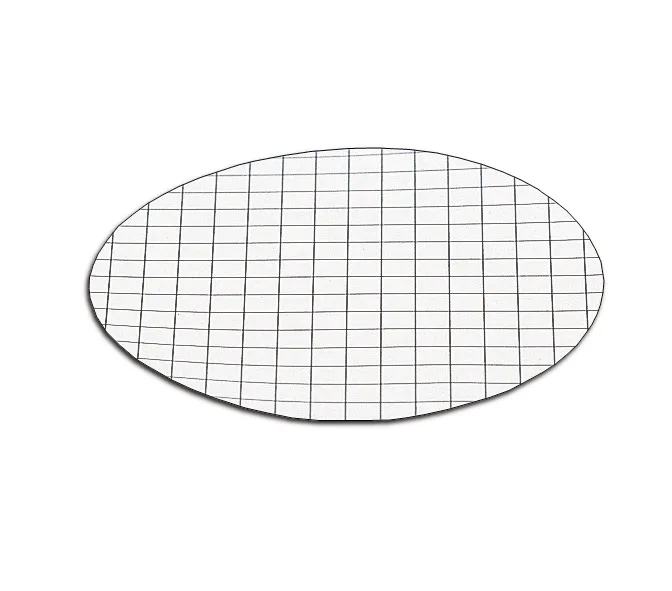 Cellulose Nitrate Membrane Filter, SARTORIUS, 0.2 µm, 47 MM, Item No.: 11407–47- – – -ACN
