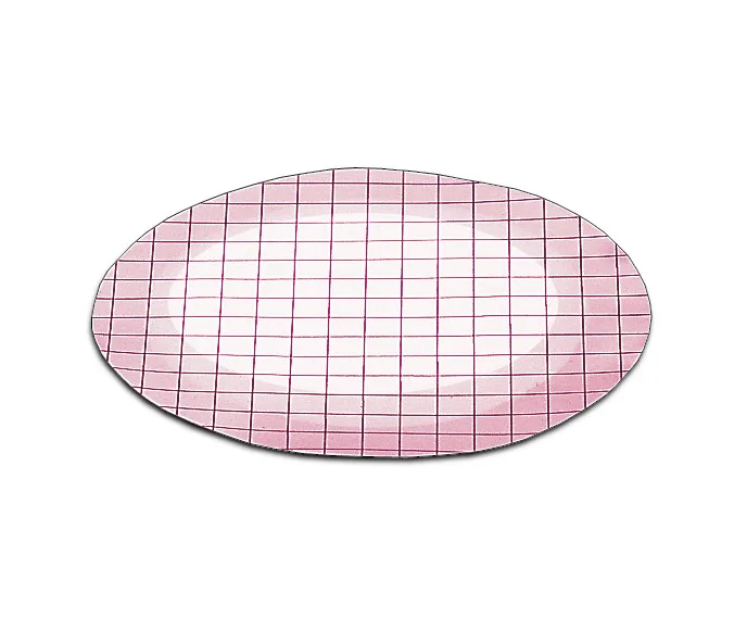 Cellulose Acetate Membrane Filter, SARTORIUS, 0.2 µm, 47 MM, Item No.: 13507–47—-ACN